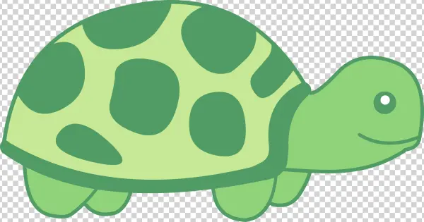 Cute Cartoon Green Turtle PNG Transparent Background