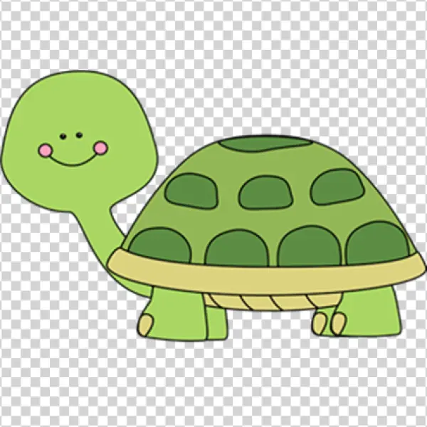 Cute Green Cartoon Turtle PNG