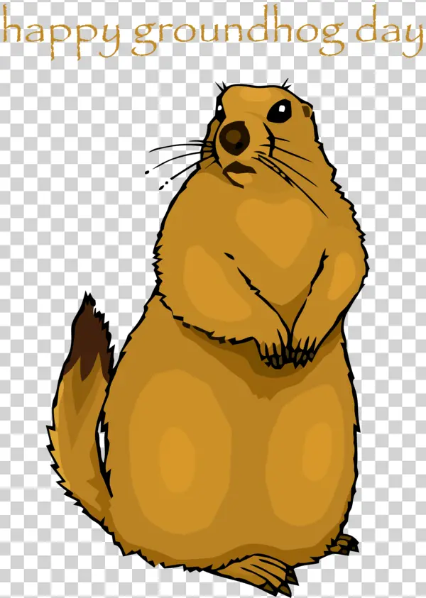 Happy Groundhog Day Groundhog Illustration PNG
