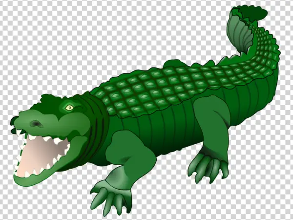 Green Cartoon Crocodile PNG Transparent Background