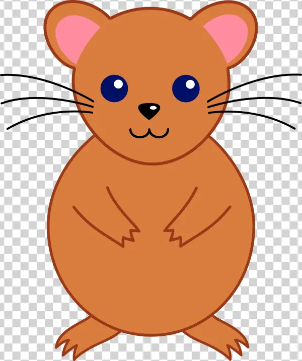 Cute Cartoon Hamster PNG Transparent Background