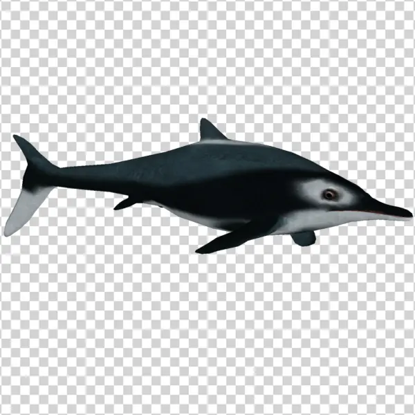 Ichthyosaur Prehistoric Marine Reptile PNG Transparent