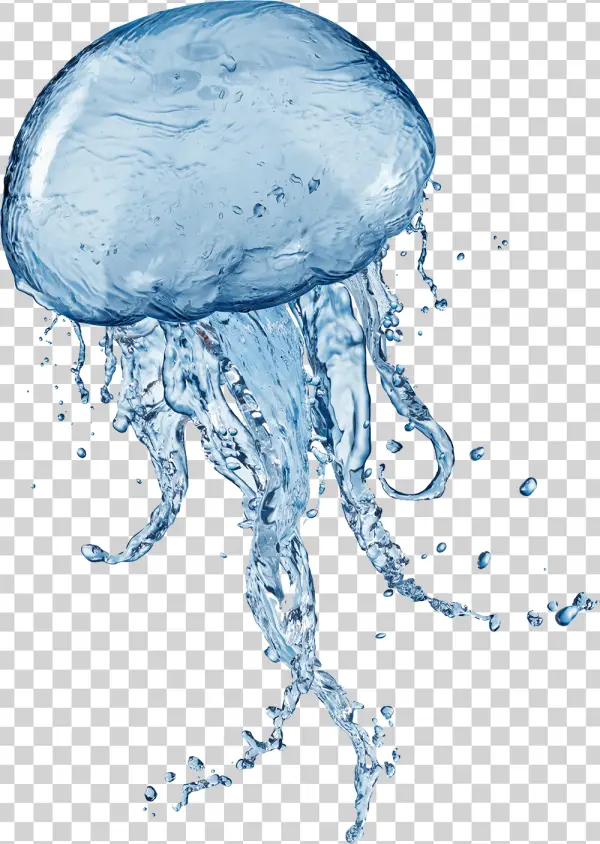 Dynamic Water Splash Jellyfish PNG Transparent Background