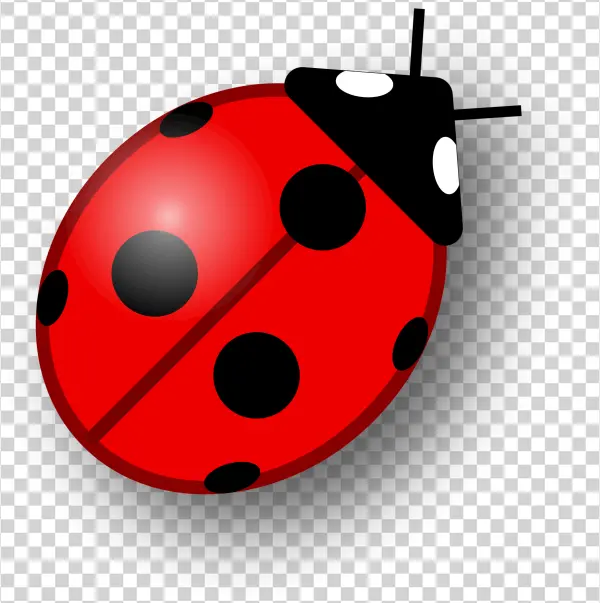 Cute Red Ladybug PNG Transparent Background