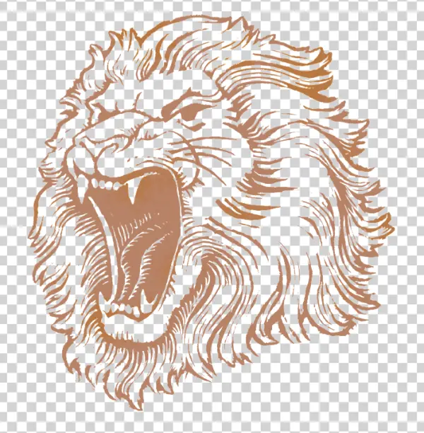 Roaring Lion Head Illustration PNG Transparent