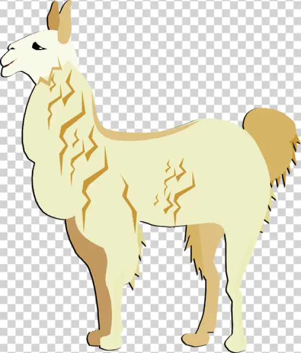 Stylized Llama Illustration PNG Transparent Background