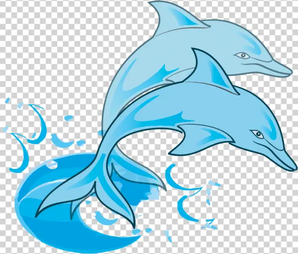 Stylized Blue Dolphin Duo PNG Transparent Background