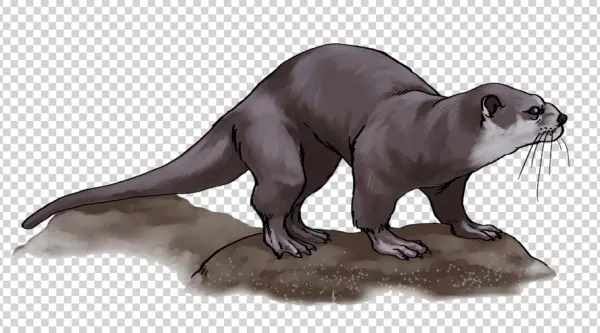 Detailed Otter Illustration PNG Transparent