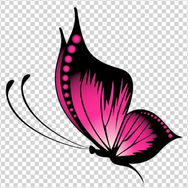 Pink Butterfly PNG Transparent Background