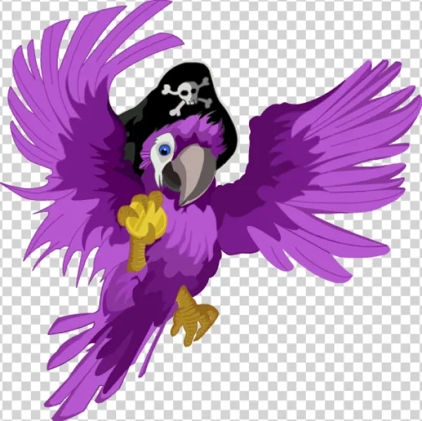 Purple Pirate Parrot PNG Transparent Background