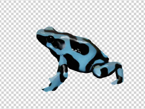 Blue and Black Poison Dart Frog PNG Transparent