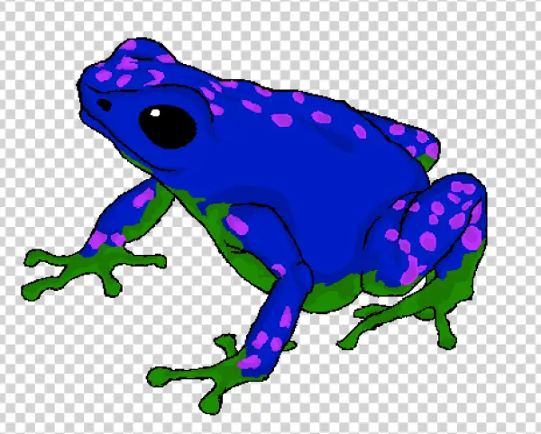 Vibrant Spotted Frog PNG Transparent Background