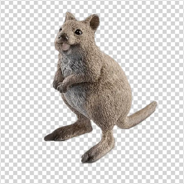 Happy Quokka PNG Transparent Background