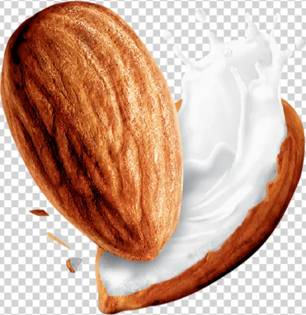 Almond Milk Splash PNG Transparent Background