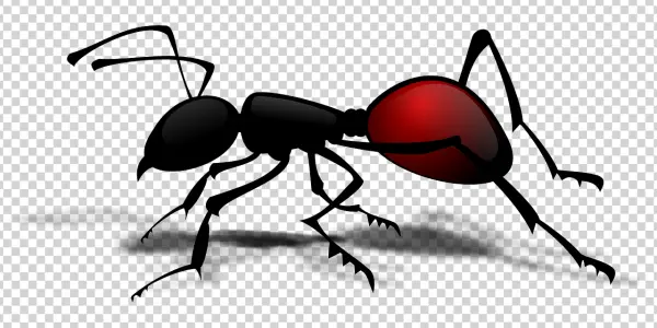 Stylized Red and Black Ant PNG Transparent Background