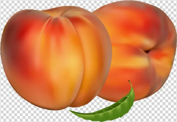 Fresh Peaches with Green Leaf PNG Transparent Background