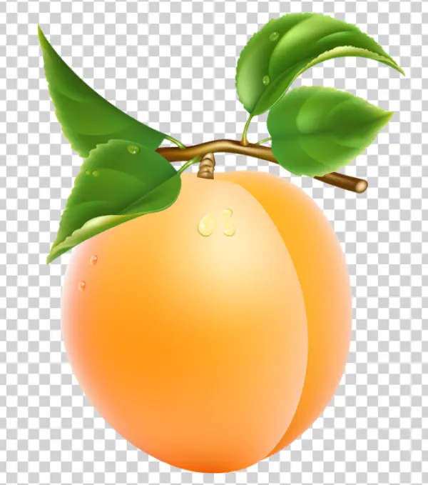 Fresh Peach with Leaves PNG Transparent Background