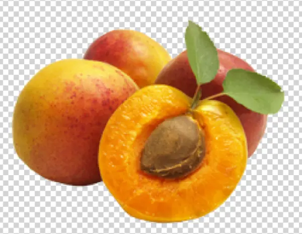 Fresh Apricots with Leaf and Cut Half PNG