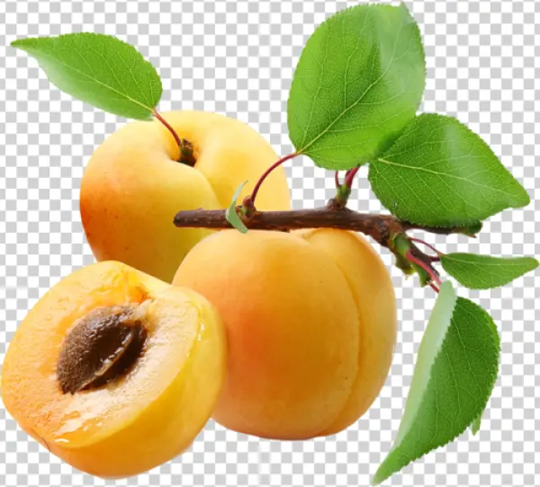 Fresh Apricots with Leaves PNG Transparent Background