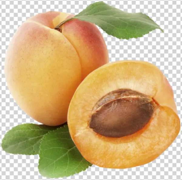Fresh Apricots with Leaves PNG Transparent Background