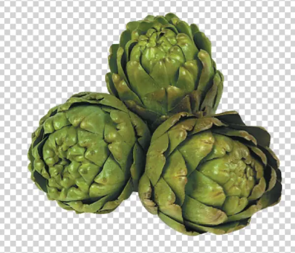 Fresh Artichokes PNG Transparent Background