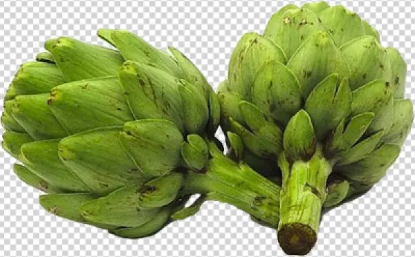 Fresh Green Artichokes PNG Transparent Background
