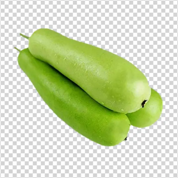 Fresh Bottle Gourd PNG Transparent Background