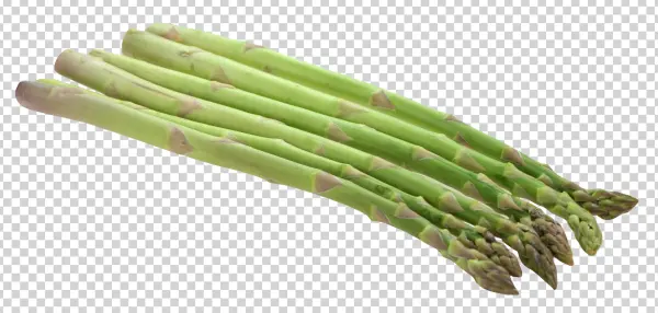 Fresh Asparagus Stalks PNG Transparent