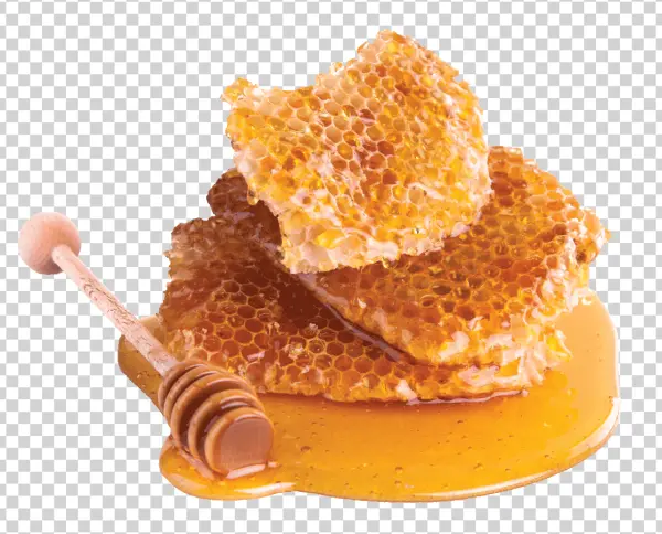 Natural Honeycomb and Dipper PNG Transparent