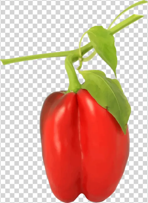 Red Bell Pepper with Stem and Leaves PNG Transparent Background