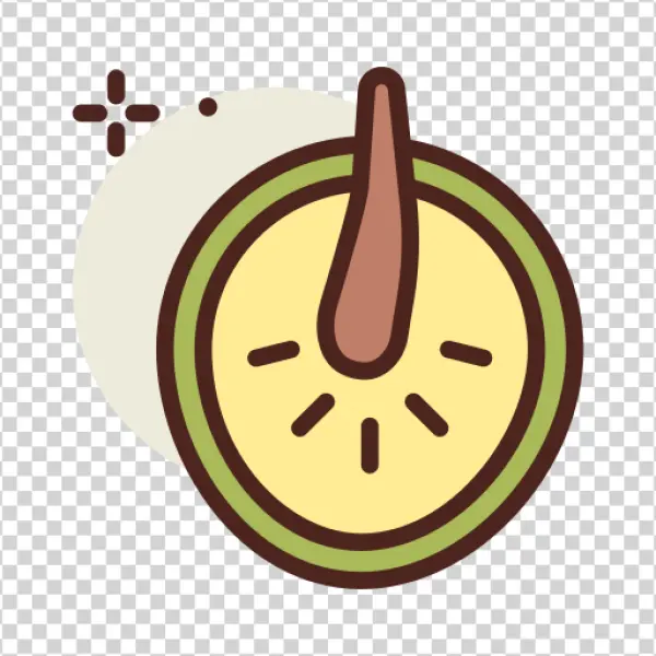 Hair Follicle with Shine Icon PNG Transparent Background