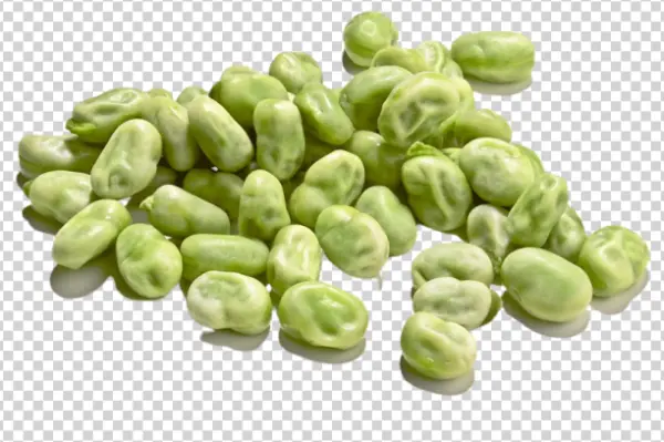 Fresh Broad Beans PNG Transparent Background