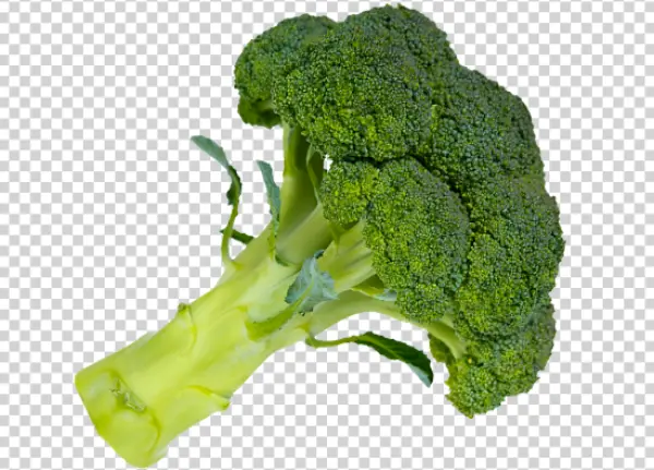 Fresh Broccoli Head PNG Transparent Background