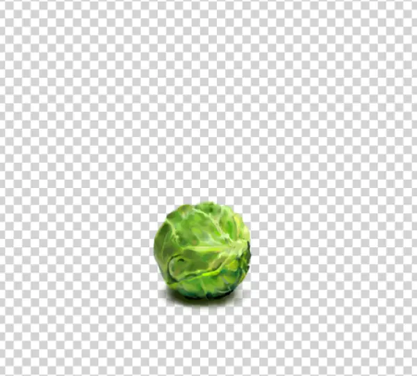 Green Cabbage Head PNG Transparent Background