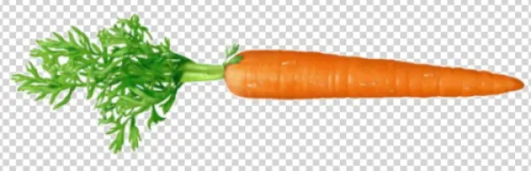 Fresh Carrot with Green Leaves PNG Transparent Background