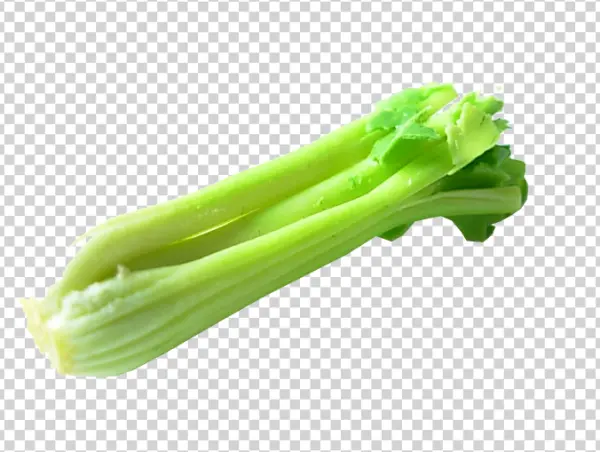 Fresh Green Celery Stalks PNG Transparent