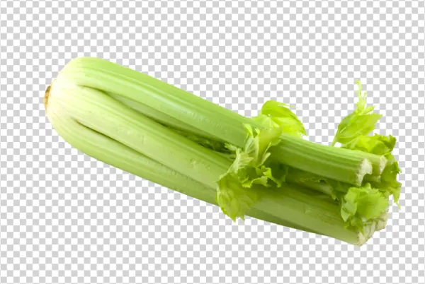 Fresh Celery Stalks PNG Transparent Background