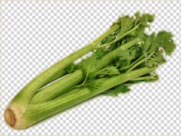 Fresh Celery Bunch PNG Transparent Background