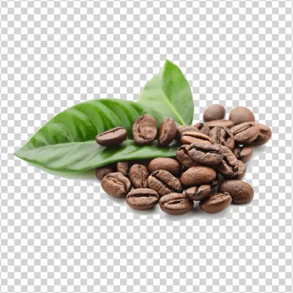 Roasted Coffee Beans with Green Leaf PNG Transparent
