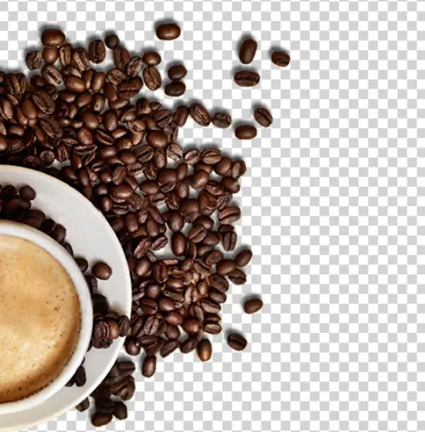 Roasted Coffee Beans and Cup PNG Transparent Background