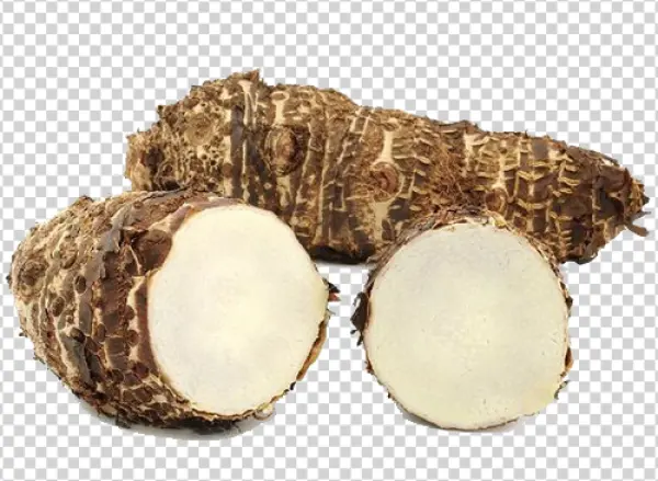 Taro Root Whole and Sliced PNG