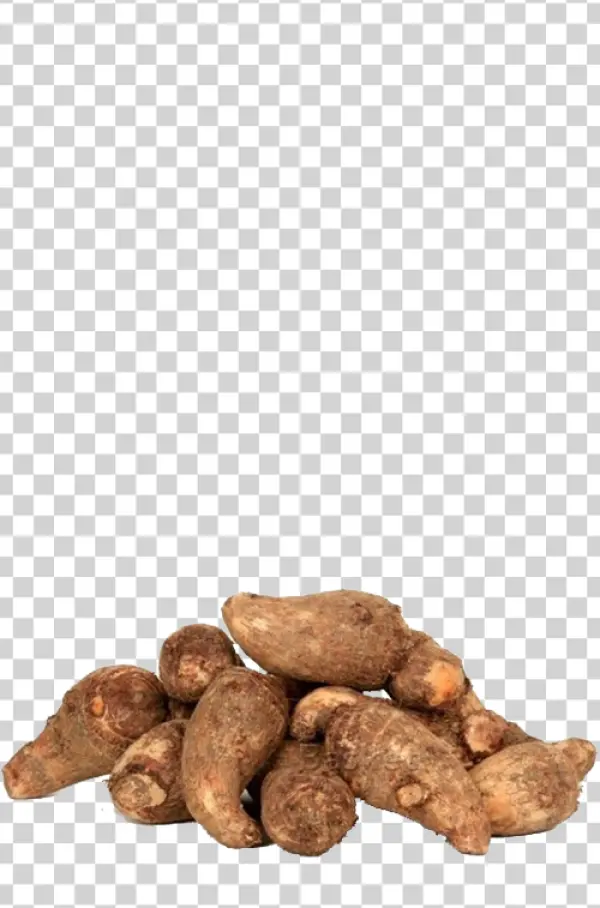 Taro Roots PNG Transparent Background