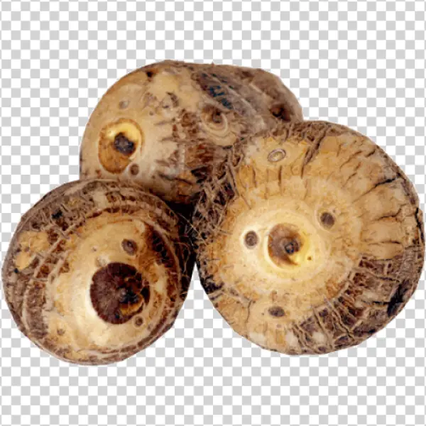 Fresh Taro Roots PNG Transparent Background