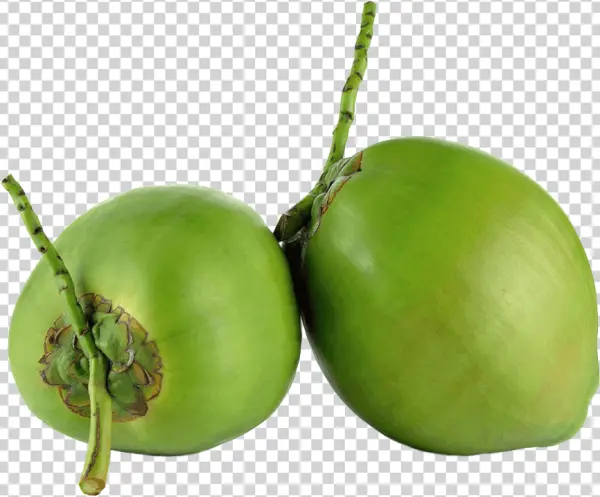 Two Green Coconuts PNG Transparent Background