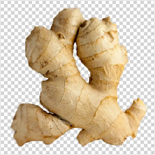 Ginger Root PNG Transparent Background