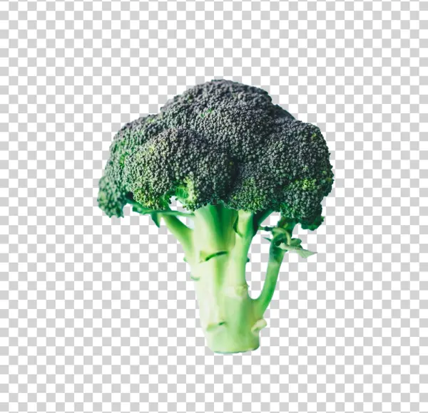 Fresh Green Broccoli PNG Transparent Background
