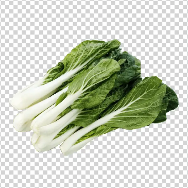 Fresh Bok Choy PNG Transparent Background