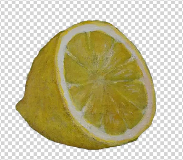 Hand-Painted Lemon Slice PNG Transparent Background