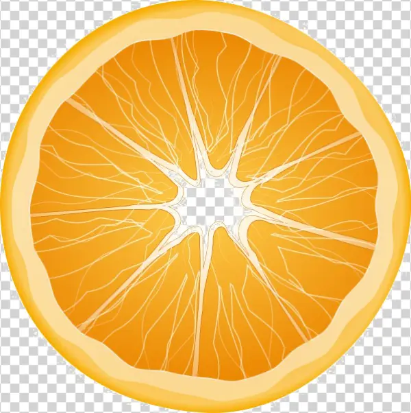 Orange Slice PNG Transparent Background