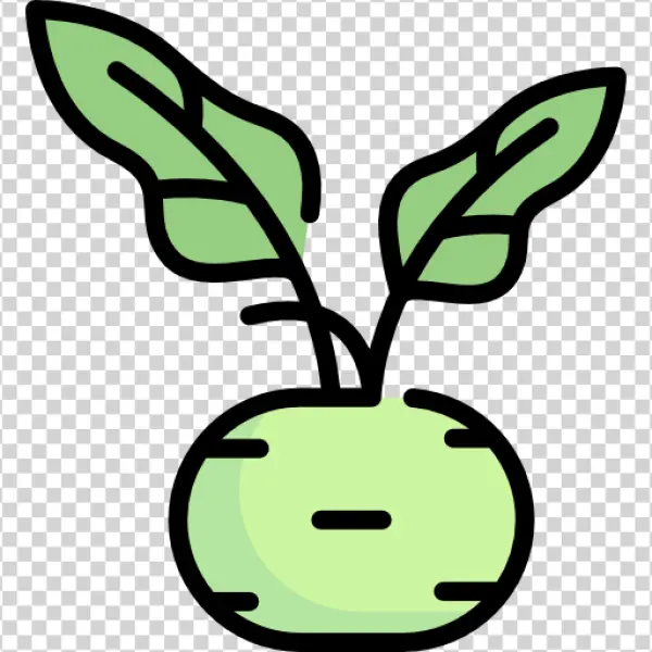 Green Turnip or Kohlrabi Icon PNG